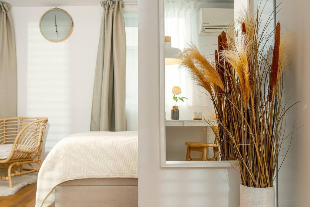 New Cute Studioapartment In Ljubljana + Free Bikes 外观 照片
